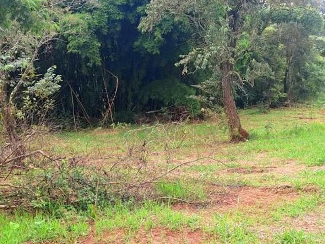 Terreno venda em Piracema