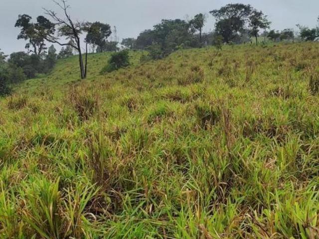 Terreno venda em Região Geográfica Imediata de Oliveira, Piracema