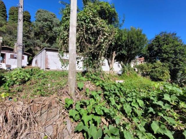 Terreno venda em Gramado
