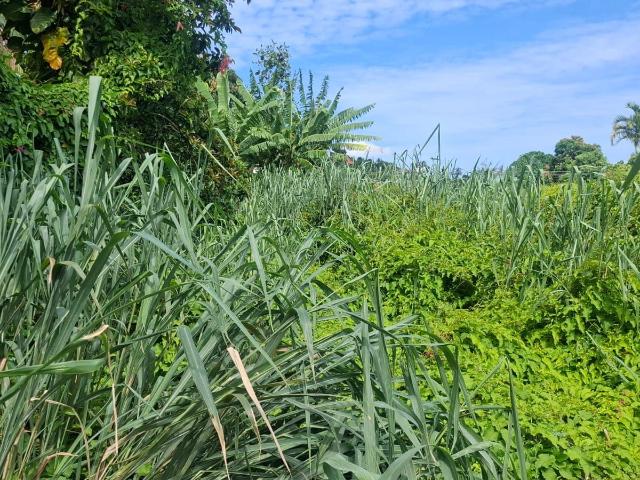 Terreno venda em Região Geográfica Imediata do Rio de Janeiro, Região Metropolitana do Rio de Janeiro