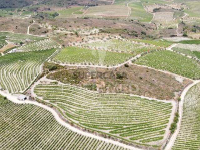 Terreno venda em Guarda, Poço Do Canto