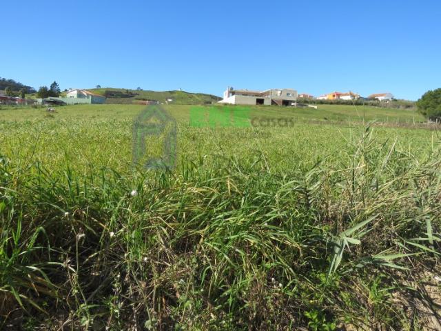 Terreno venda em Torres Vedras, Lisboa