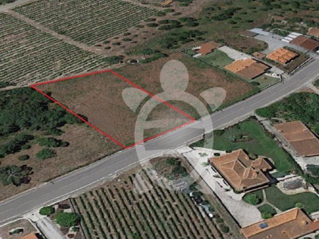 Terreno venda em Arrôtas, Cantanhede