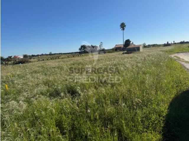 Terreno venda em Lagameças, Palmela