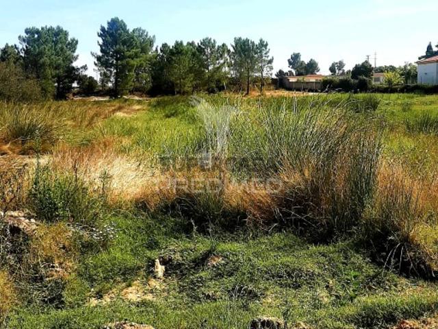 Terreno venda em Poceirão e Marateca, Palmela