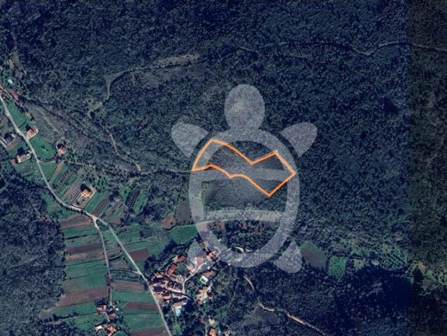Terreno venda em Penela, Coimbra