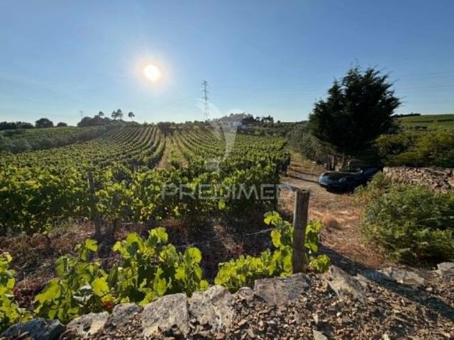 Terreno venda em Peso Da Régua, Vila Real