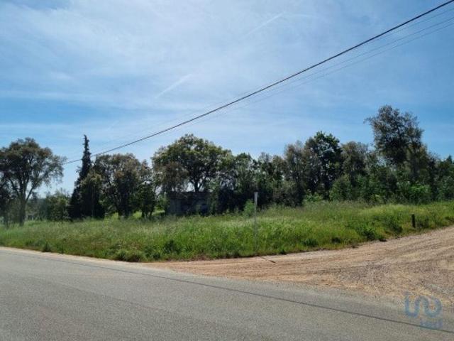 Terreno venda em Poiares (Santo André), Vila Nova De Poiares