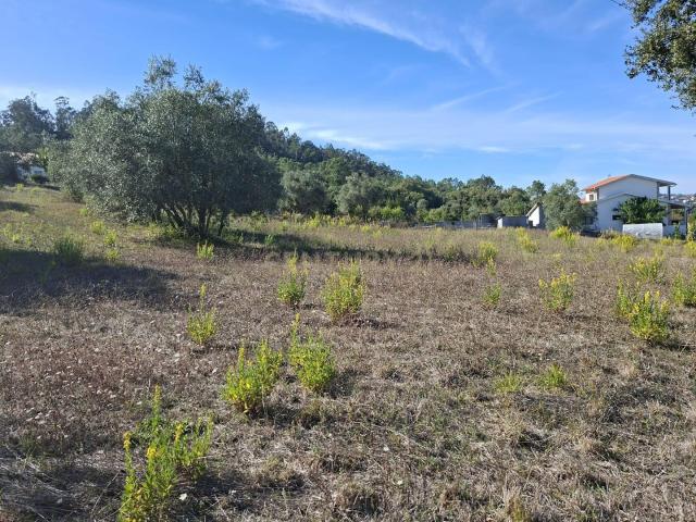 Terreno venda em Pombal, Leiria