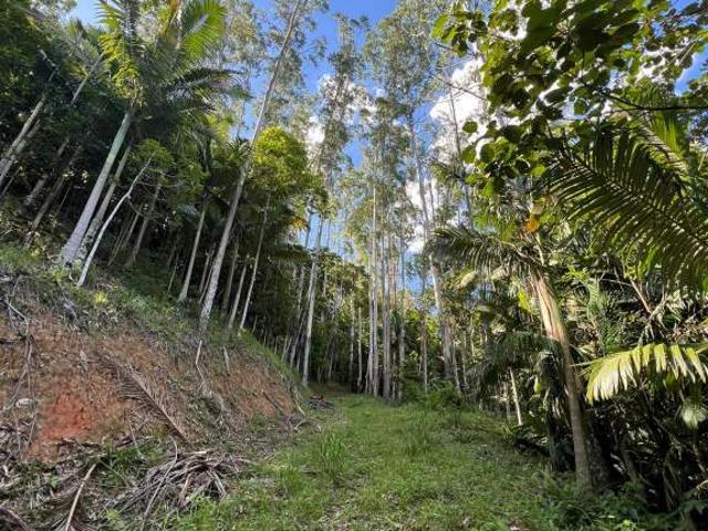Terreno venda em Região Geográfica Imediata de Blumenau, Pomerode