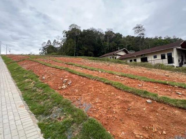 Terreno venda em Região Geográfica Imediata de Blumenau, Pomerode