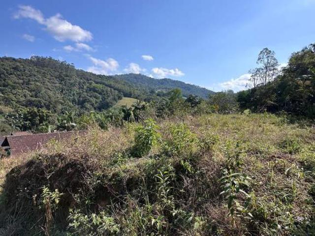 Terreno venda em Região Geográfica Imediata de Blumenau, Pomerode