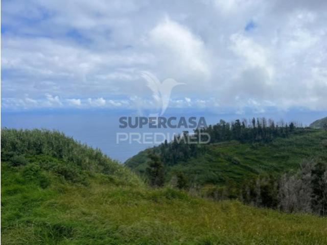Terreno venda em Ribeira da Vaca, Ponta Do Pargo