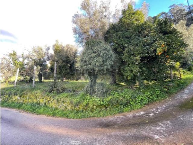 Terreno venda em Grovelas São João Evangelista, Viana Do Castelo
