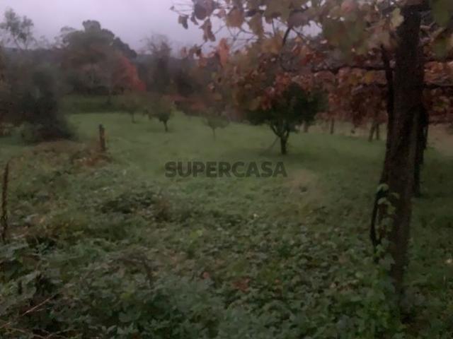 Terreno venda em Ponte De Lima, Rebordões (Souto) Terreno venda em Ponte De Lima, Rebordões (Souto)