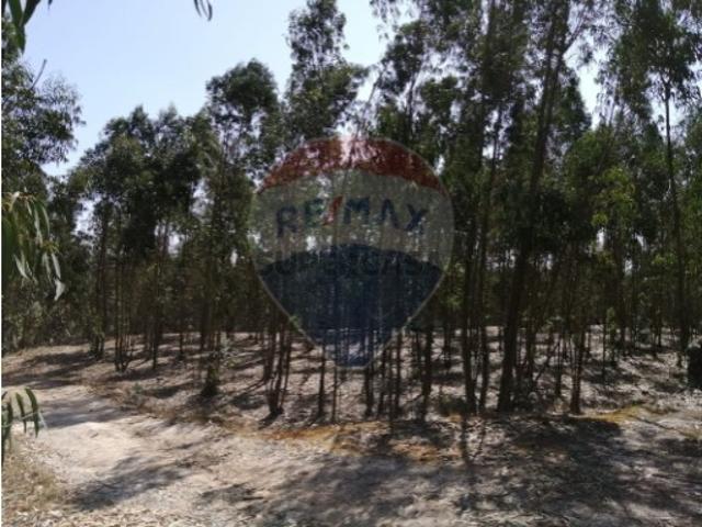 Terreno venda em Torres Vedras, Lisboa