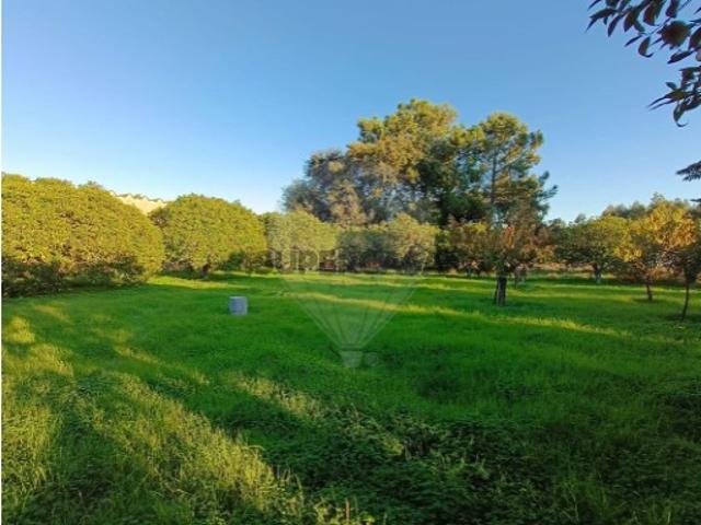 Terreno venda em Casais da Amendoeira, Cartaxo