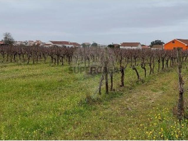 Terreno venda em Casais dos Penedos, Cartaxo