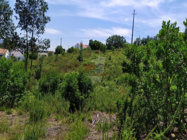Terreno venda em Pampilhosa Da Serra, Coimbra
