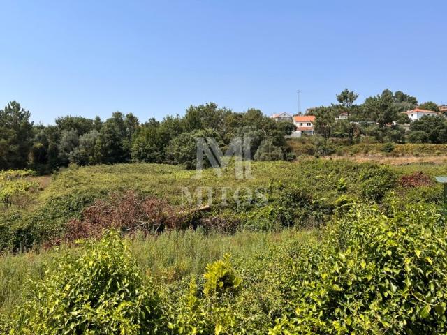 Terreno venda em Viana Do Castelo