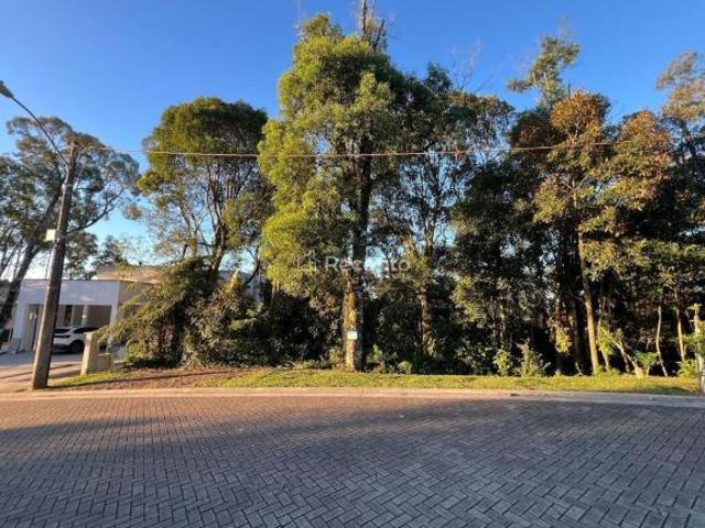 Terreno venda em Região Geográfica Imediata de Caxias do Sul, Gramado