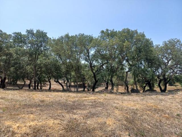 Terreno venda em Portimão, Faro