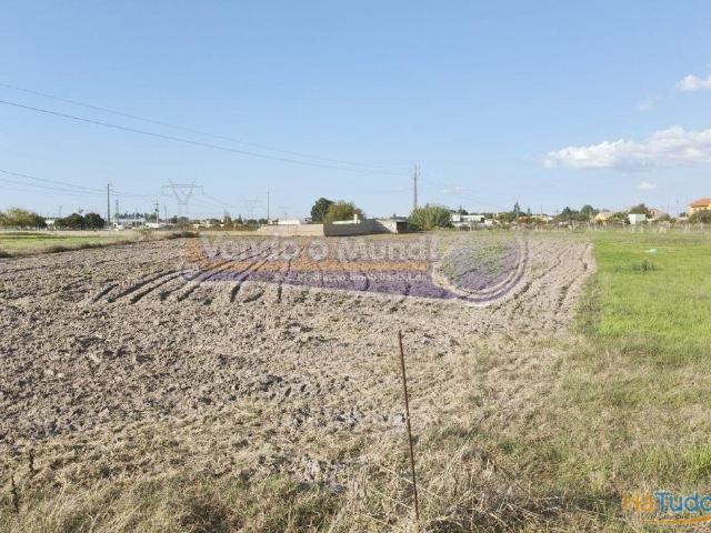 Terreno venda em Benavente, Santarém