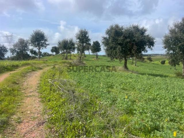Terreno venda em Sines, Setúbal