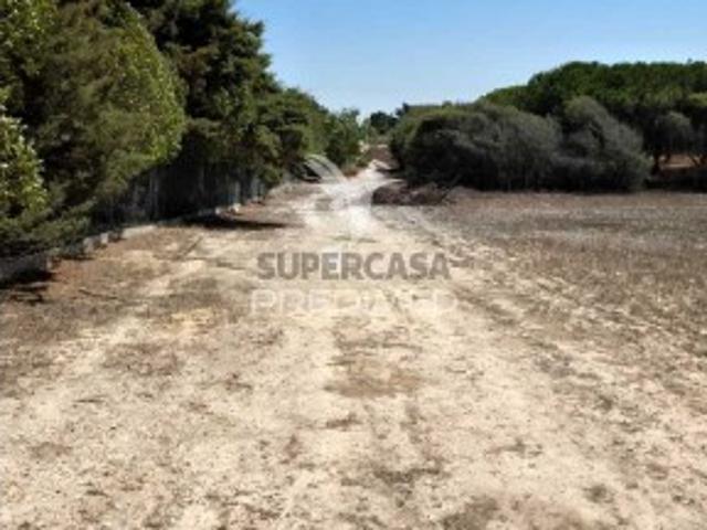 Terreno venda em Sines, Setúbal