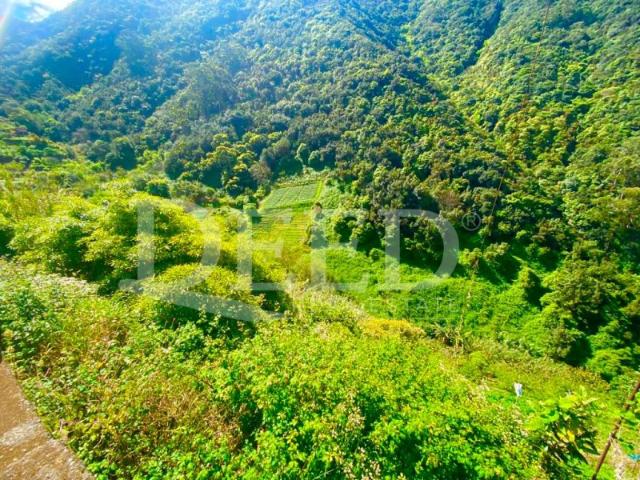 Terreno venda em Machico, Ilha Da Madeira