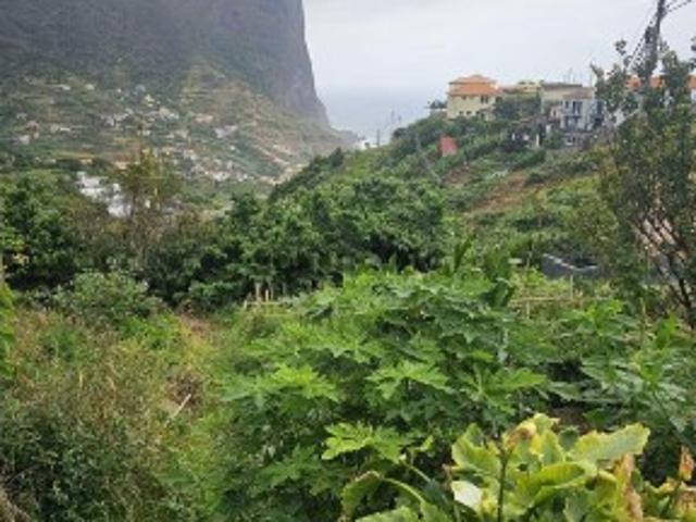 Terreno venda em Machico, Ilha Da Madeira