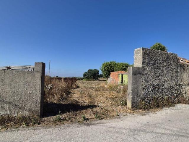 Terreno venda em Leiria