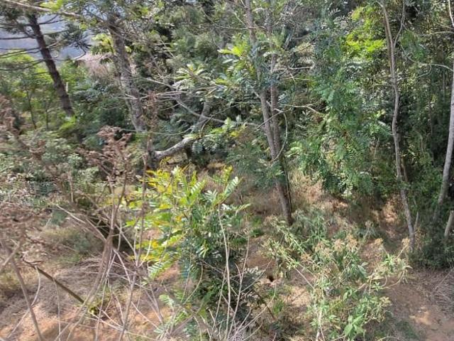 Terreno venda em Região Geográfica Imediata de Petrópolis, Teresópolis