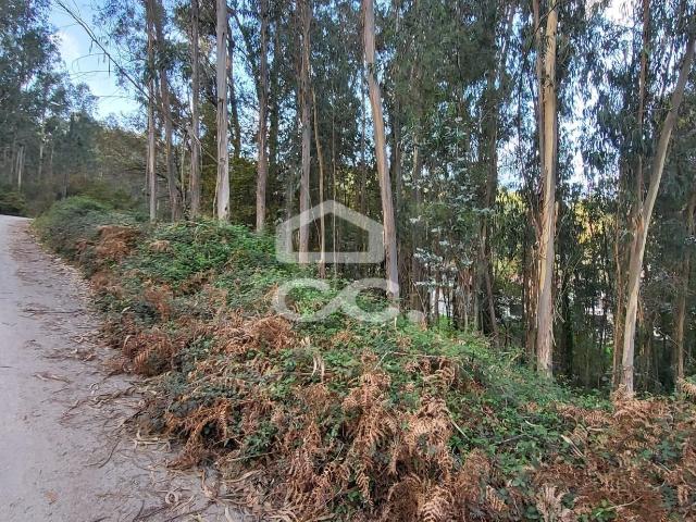 Terreno venda em Gavião, Braga