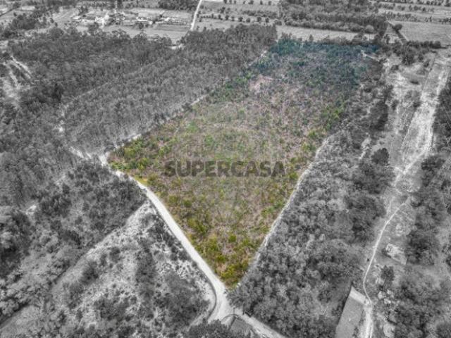 Terreno venda em Santarém