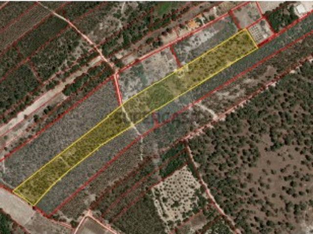 Terreno venda em Santarém