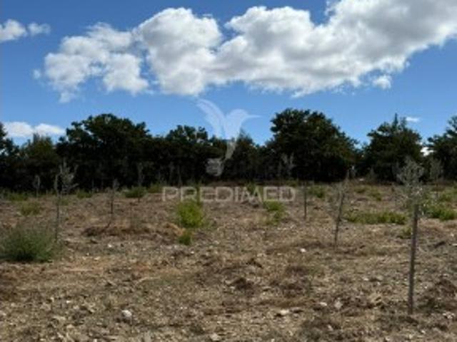 Terreno venda em Póvoa de Penela, Penedono