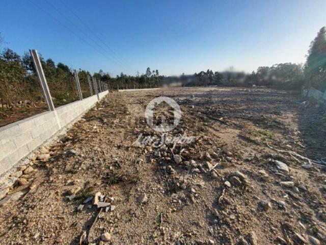 Terreno venda em Nova Sintra, A Ver-o-mar
