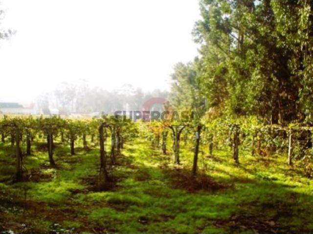 Terreno venda em Ferreiros e Carvalhal, Melgaço