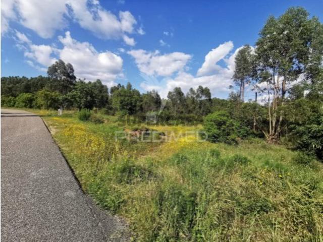 Terreno venda em Praia Do Ribatejo, Santarém