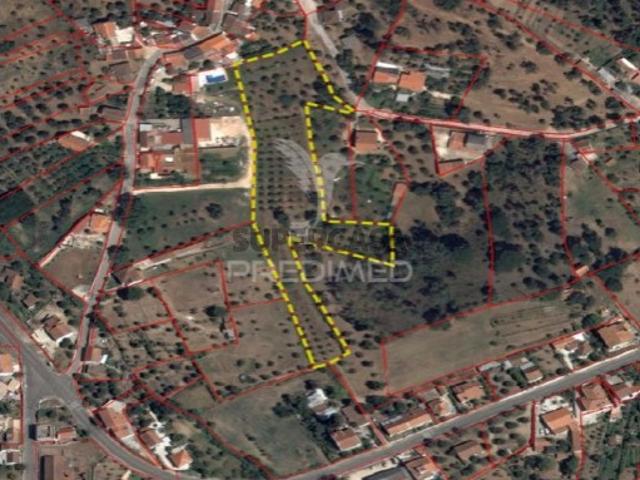 Terreno venda em Madeiras, Praia Do Ribatejo