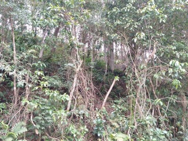 Terreno venda em São Francisco da Praia, São Sebastião