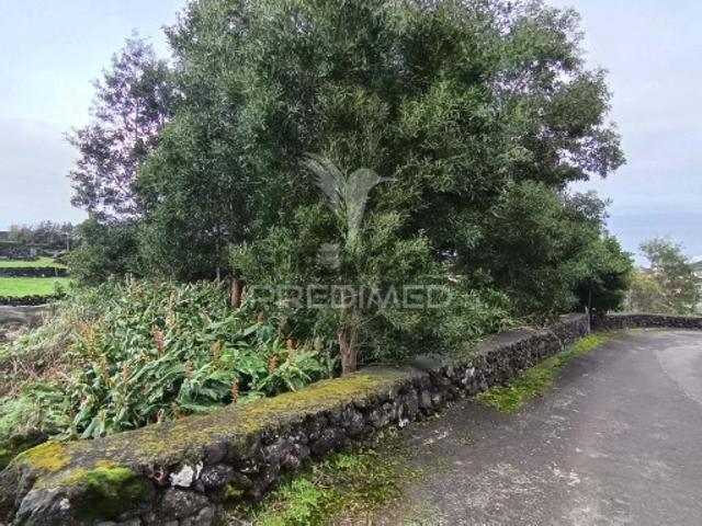 Terreno venda em Açores, São Roque Do Pico