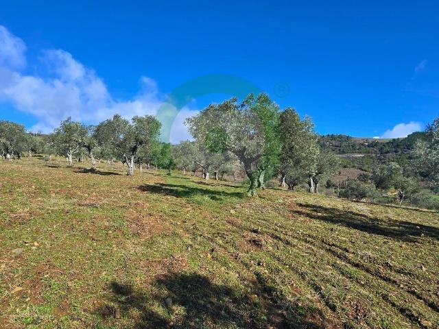 Terreno venda em Edroso, Bragança