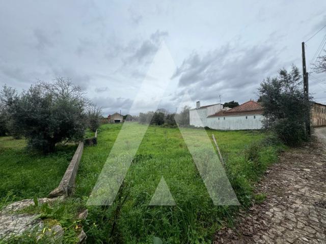 Terreno venda em Pussos, Leiria