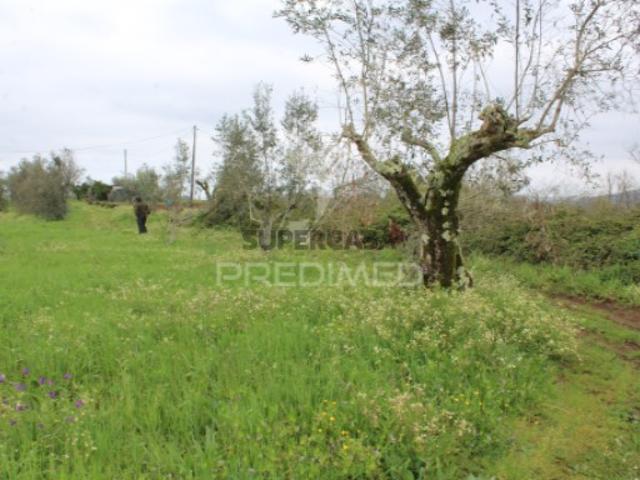 Terreno venda em Pussos, Leiria