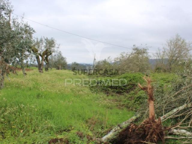 Terreno venda em Pussos, Leiria
