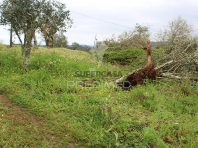 Terreno venda em Pussos, Leiria