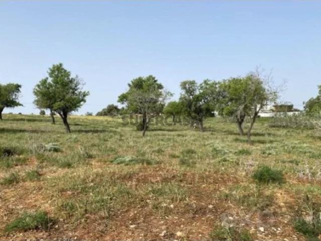 Terreno venda em Piares, Olhão