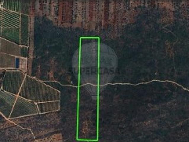 Terreno venda em Loulé, Faro